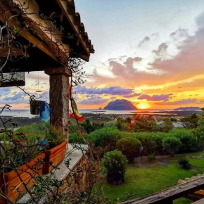 Villa Acchiappasogni Loiri Porto San Paolo